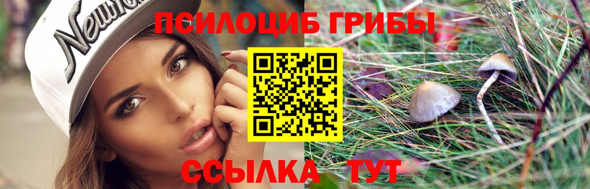 Галлюциногенные грибы MAGIC MUSHROOMS Хабаровск