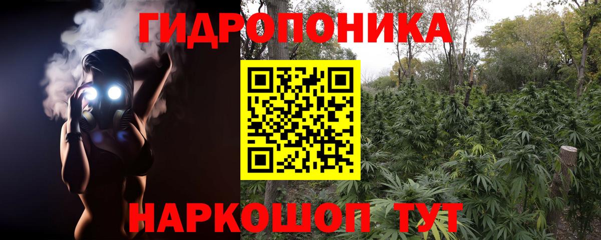 Марихуана семена  Бошки марихуана индика  Вход с VPN  Хабаровск  Канабис THC 21% 
